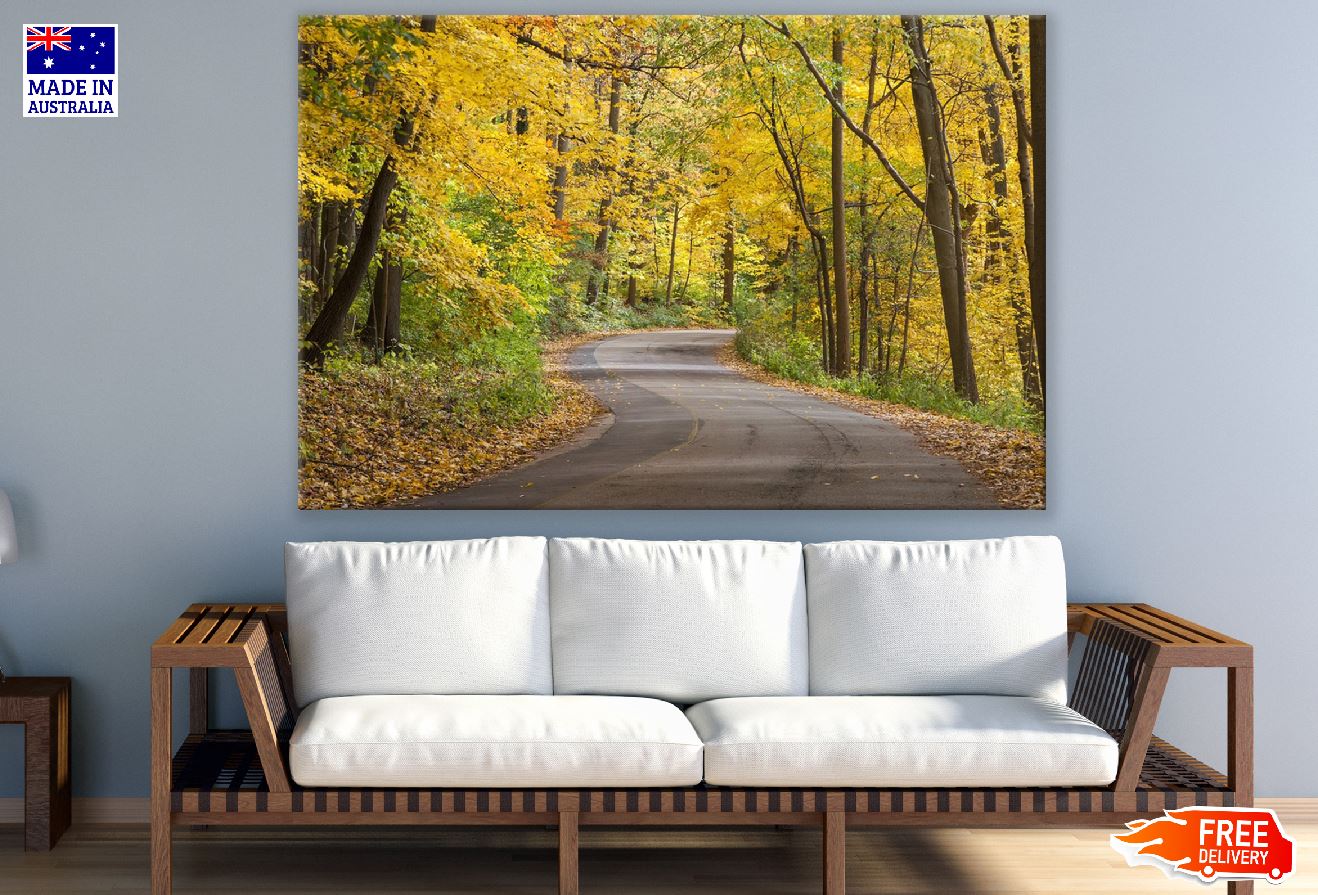 Road Covered Yellow Autumn Trees Photograph Print 100% Australian Made