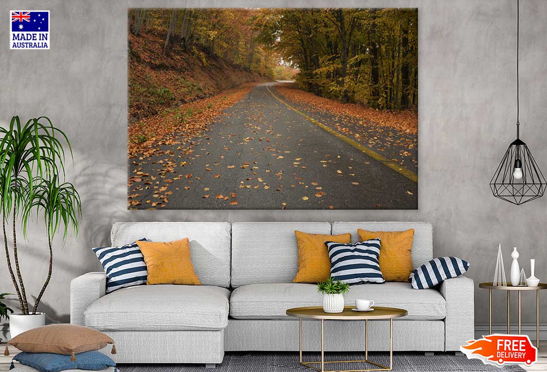 Road In Autumn Forest Photograph Print 100% Australian Made