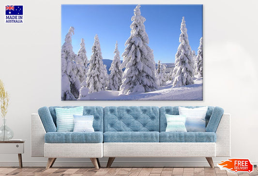 Snow Covered Trees Photograph Print 100% Australian Made