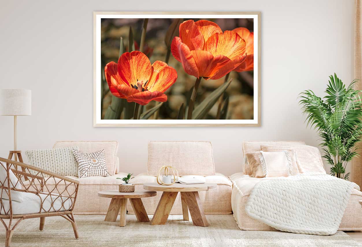 Orange Tulips with Leaves View Home Decor Premium Quality Poster Print Choose Your Sizes