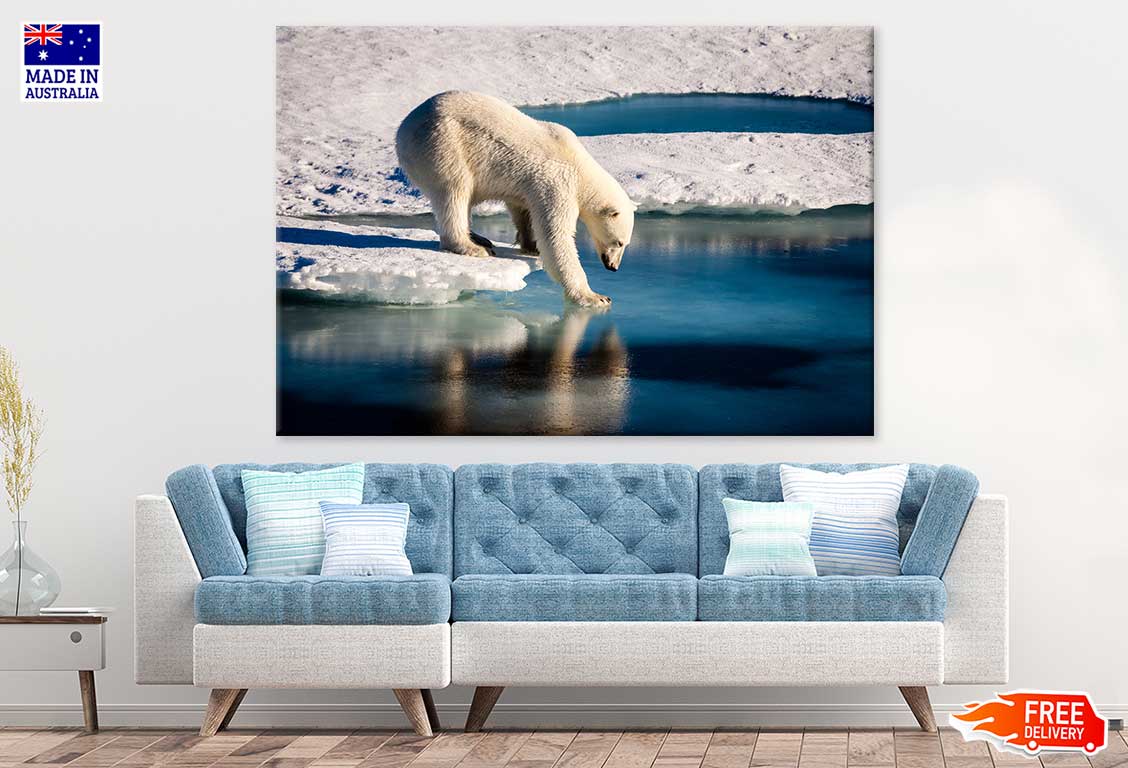 Polar Bear on Melting Ice Cap Photograph Print 100% Australian Made