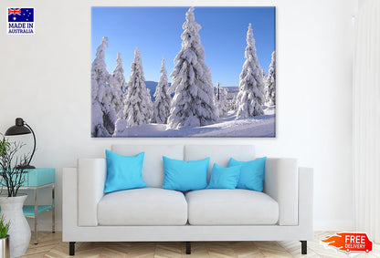 Snow Covered Trees Photograph Print 100% Australian Made