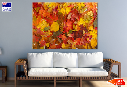 Yellow & Orange Autumn Leaves Photograph Print 100% Australian Made