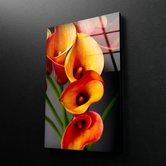 Orange Flowers Closeup Photograph Acrylic Glass Print Tempered Glass Wall Art 100% Made in Australia Ready to Hang