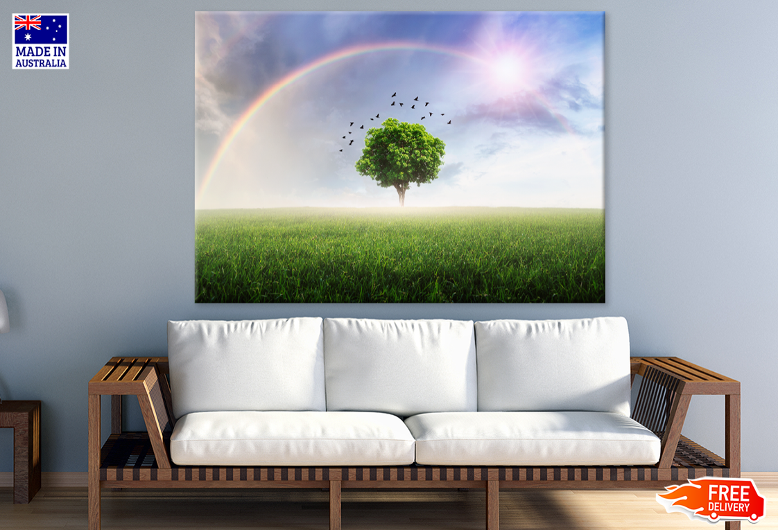 Tree & Rainbrow Sky View Photograph Print 100% Australian Made