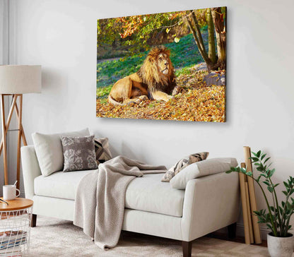 Bella Home Lion Near Forest Tree View Print Canvas Ready to hang