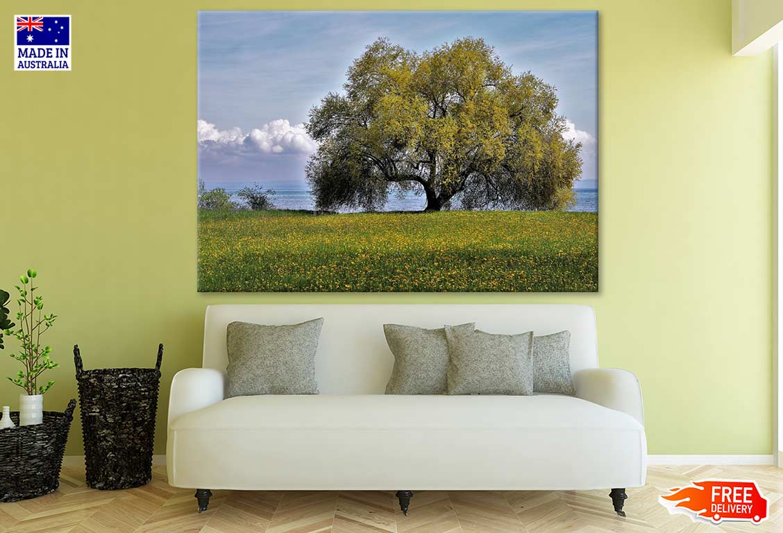 Huge Tree Near Sea Photograph Print 100% Australian Made