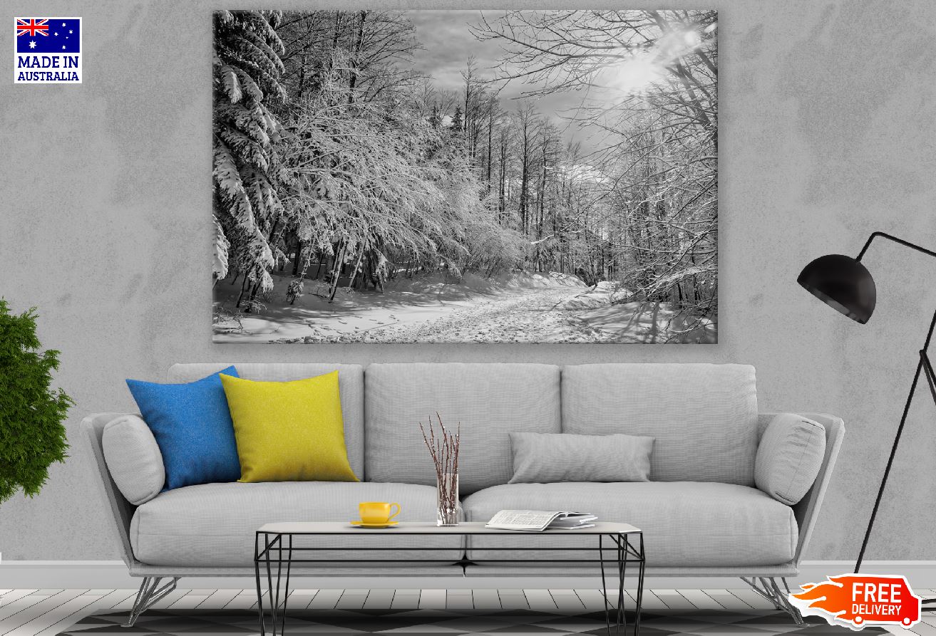 Snow Forest B&W Photograph Print 100% Australian Made