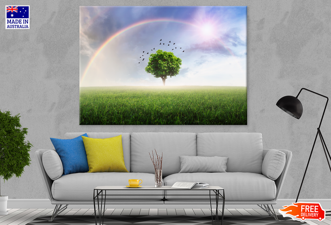 Tree & Rainbrow Sky View Photograph Print 100% Australian Made