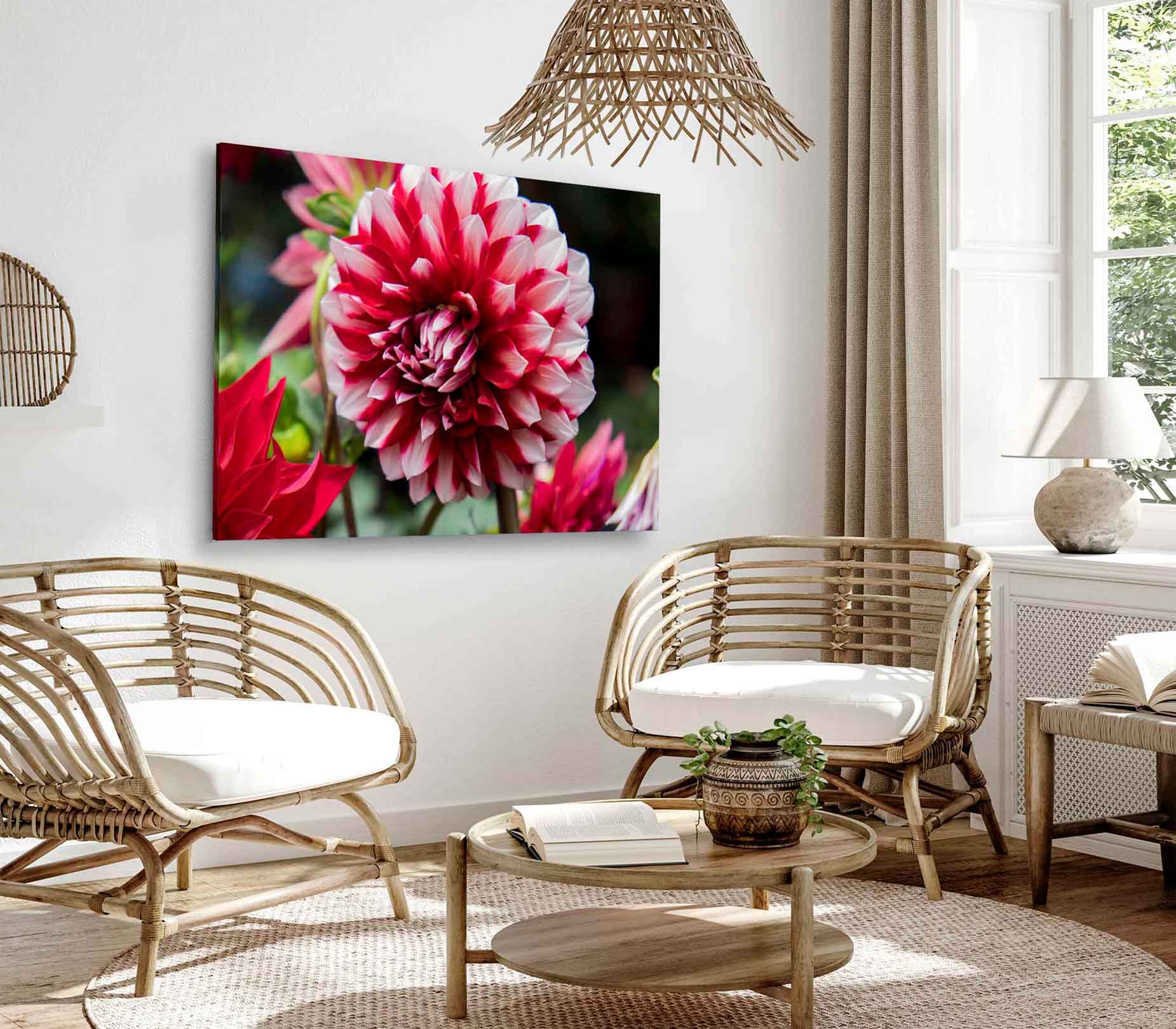 Bella Home White & Red Dahlia Flower Photograph Print Canvas Ready to hang