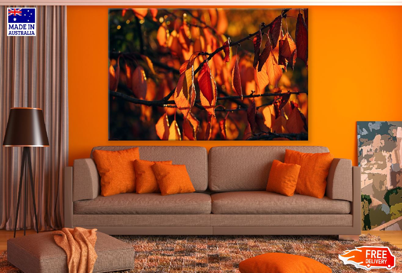 Orange Autumn Tree Leaves Photograph Print 100% Australian Made