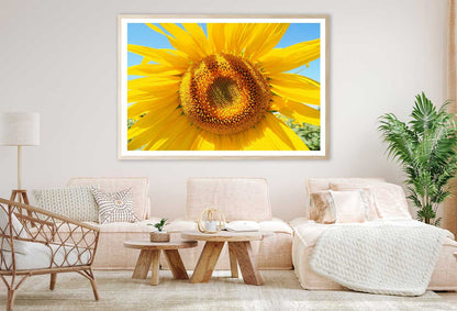 Sunflower & Blue Sky Closeup View Home Decor Premium Quality Poster Print Choose Your Sizes