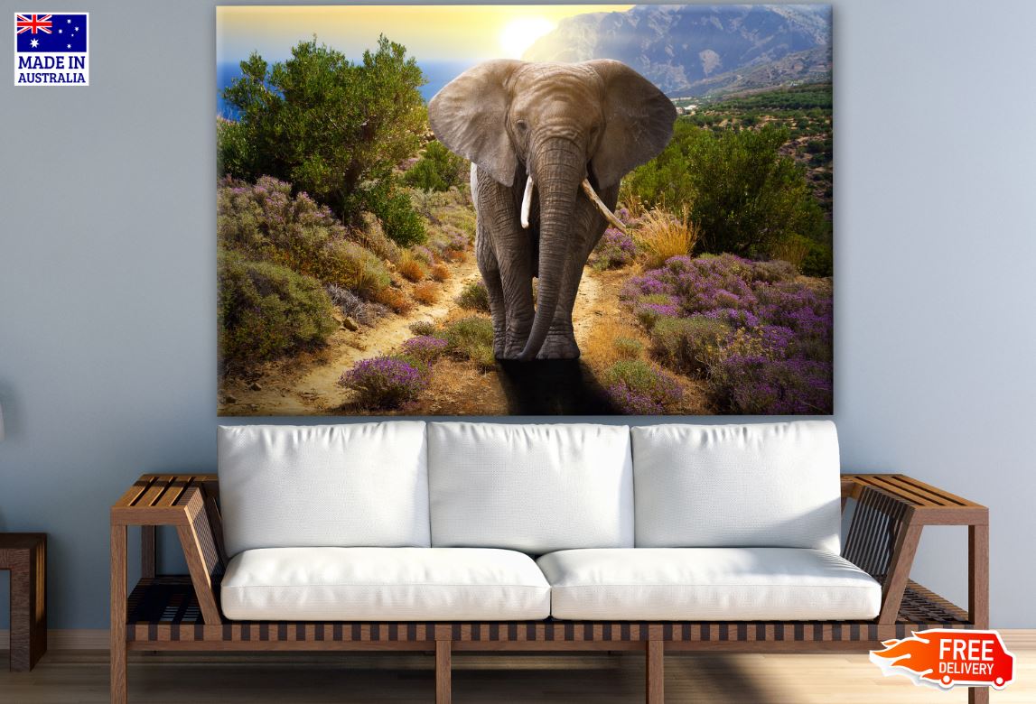 Elephant Walking Sunset Photograph Print 100% Australian Made