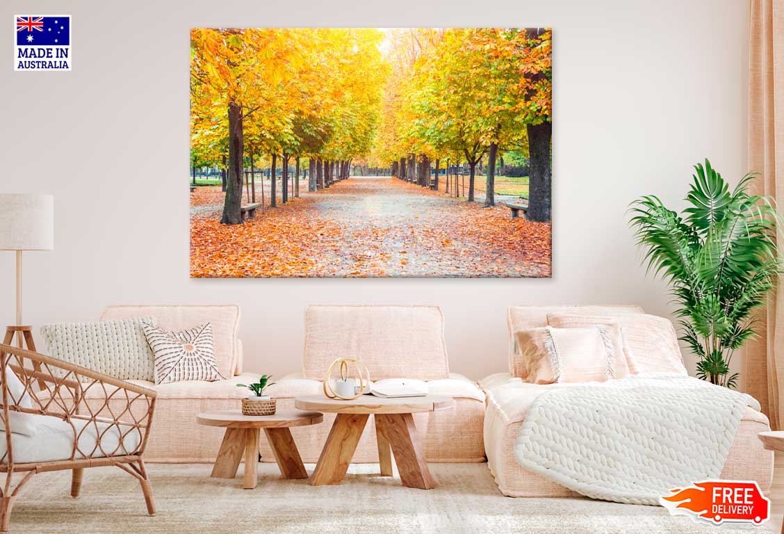 Yellow Autumn Trees Covered Road View Photograph Print 100% Australian Made