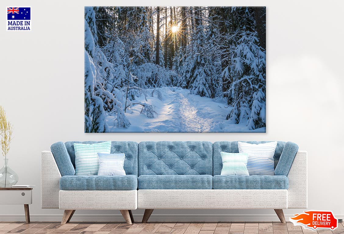 Snow Covered Trees Photograph Print 100% Australian Made