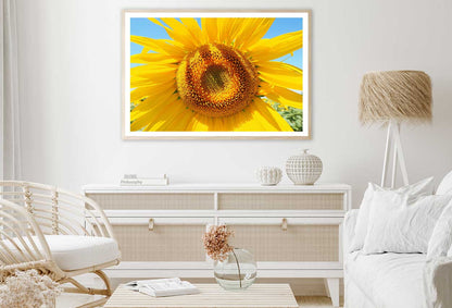 Sunflower & Blue Sky Closeup View Home Decor Premium Quality Poster Print Choose Your Sizes