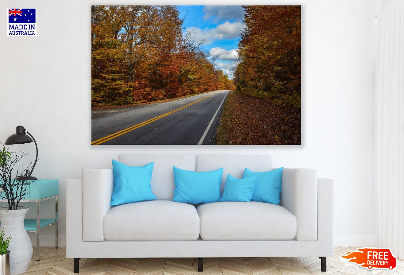 Road Covered Autumn Forest Trees Photograph Print 100% Australian Made