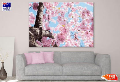 Pink Cherry Blossoms Tree Photograph Print 100% Australian Made