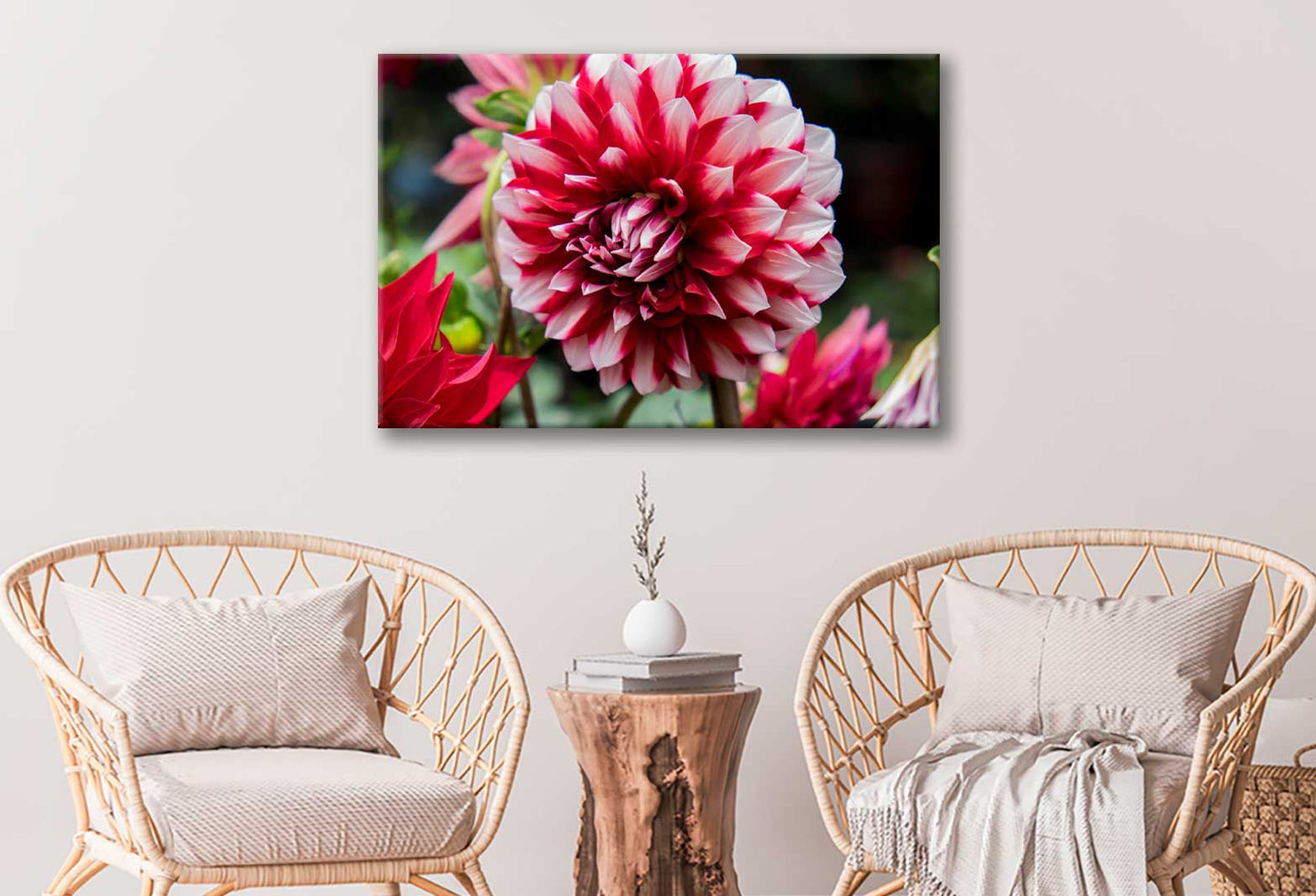 Bella Home White & Red Dahlia Flower Photograph Print Canvas Ready to hang