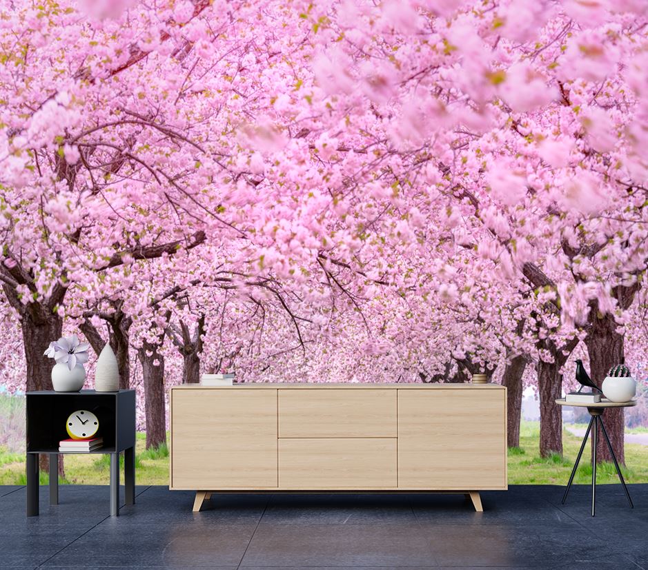 Wallpaper Murals Peel and Stick Removable Blossom Tree Row High Quality