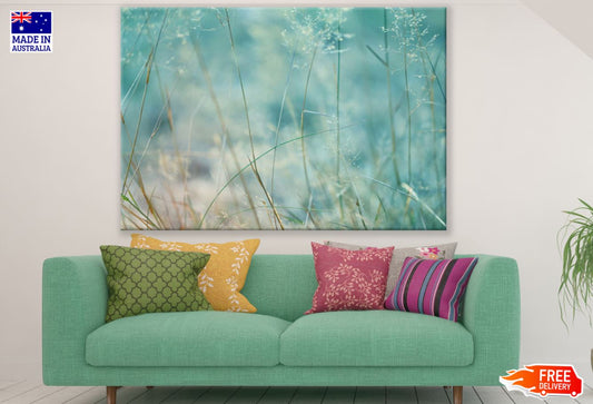 Tiny Flower Plants Photograph Print 100% Australian Made