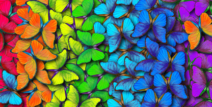 Colorful Butterflies 3D Design Print 100% Australian Made