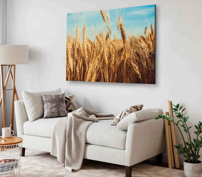 Bella Home Wheat Field & Sunset Landscape Print Canvas Ready to hang