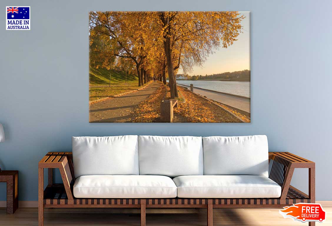 Autumn Trees Park near Lake Scenery Photograph Print 100% Australian Made