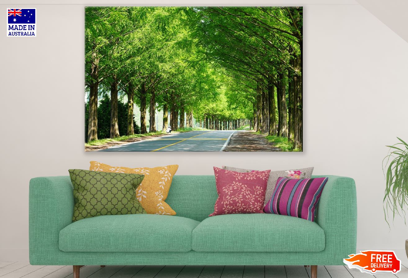 Road Covered with Green Trees Photograph Print 100% Australian Made