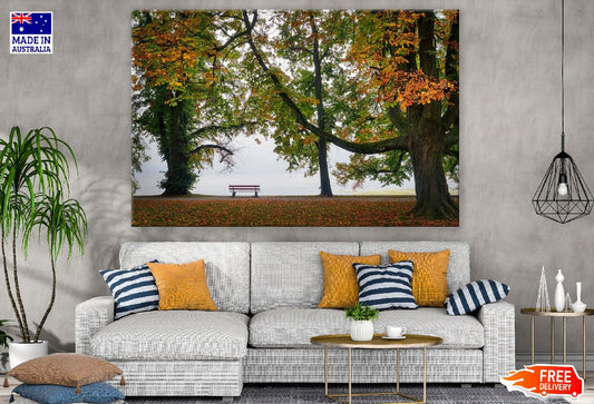 Autumn Old Trees Garden Photograph Print 100% Australian Made