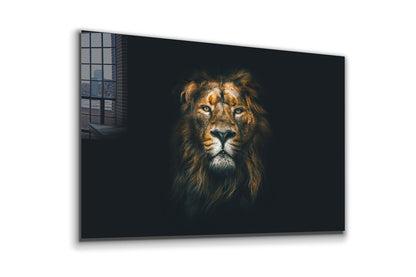 Lion on Dark Closeup Print Tempered Glass Wall Art 100% Made in Australia Ready to Hang