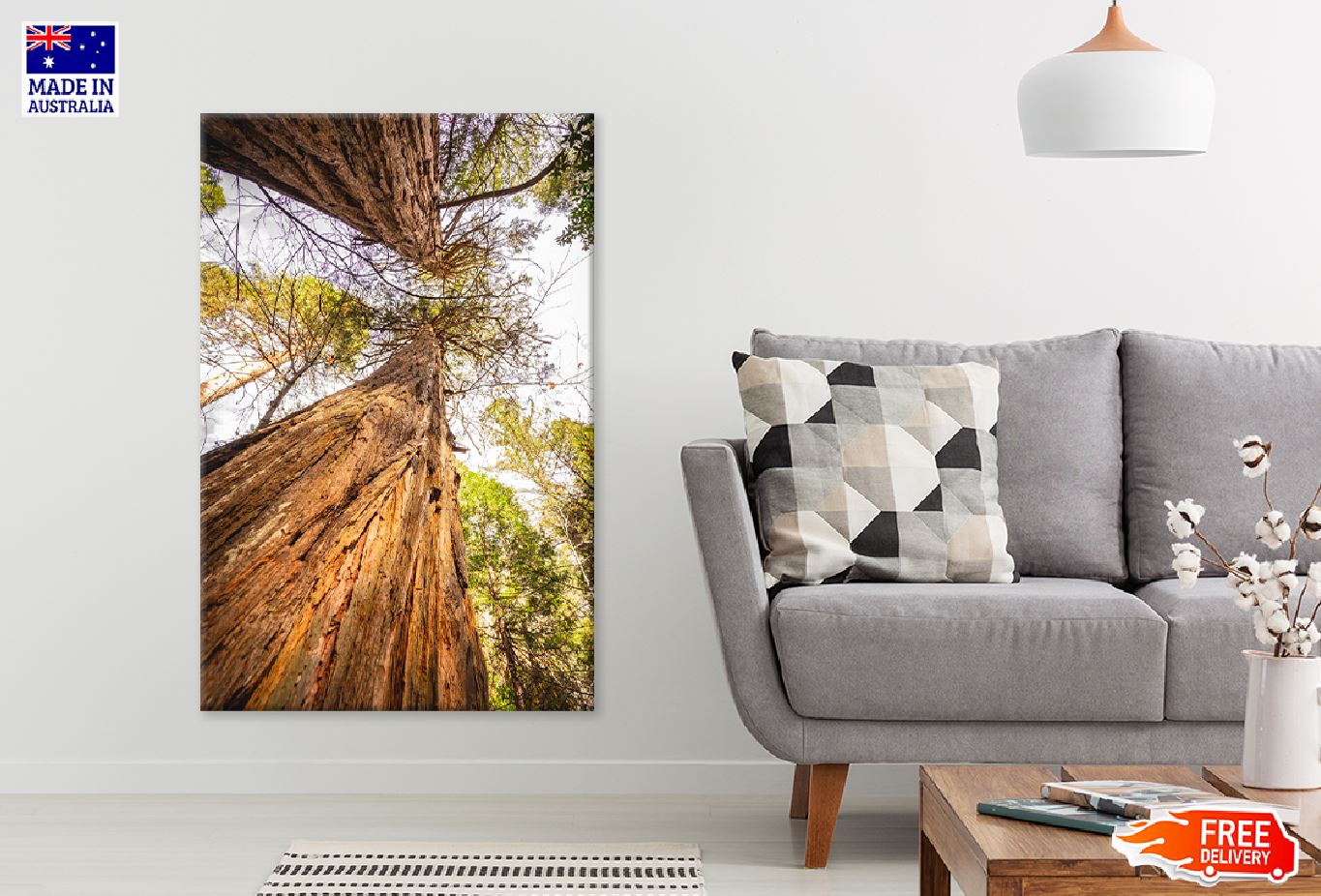 Two Large Trees View From Below Photograph Print 100% Australian Made