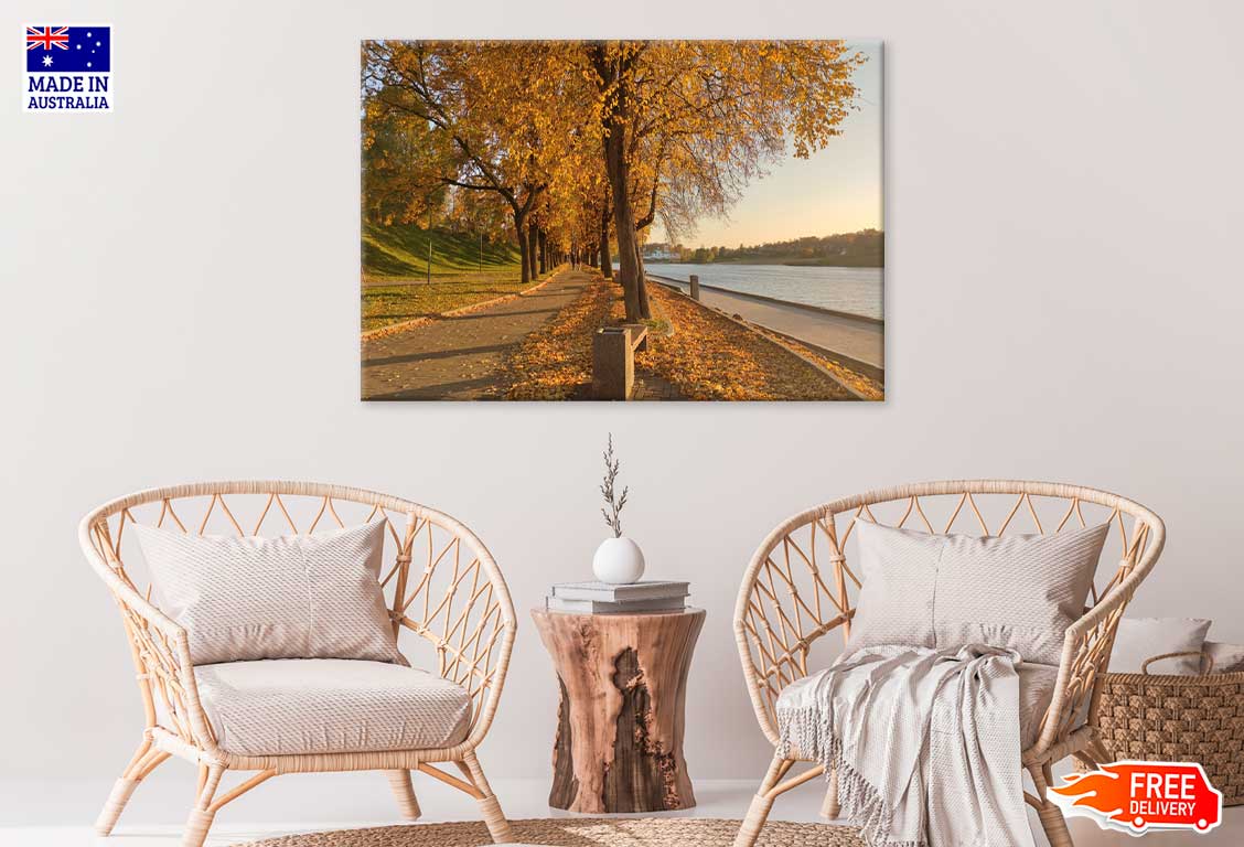 Autumn Trees Park near Lake Scenery Photograph Print 100% Australian Made