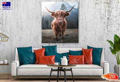 Highland Cow Mountain View Photograph Print 100% Australian Made