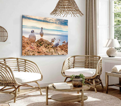 Bella Home Seagulls Sitting on Mountain Cliff Print Canvas Ready to hang