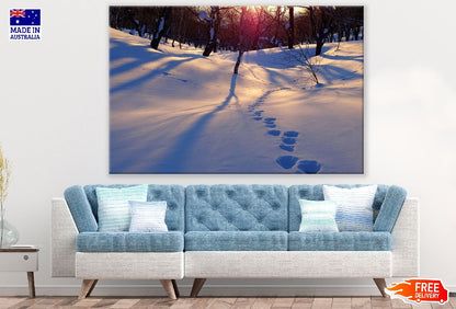 Winter Mountain Forest Sunset Photograph Print 100% Australian Made