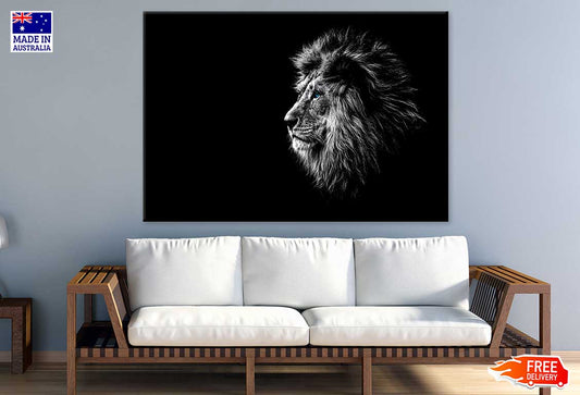 Blue Eye Lion in Dark Photograph Print 100% Australian Made