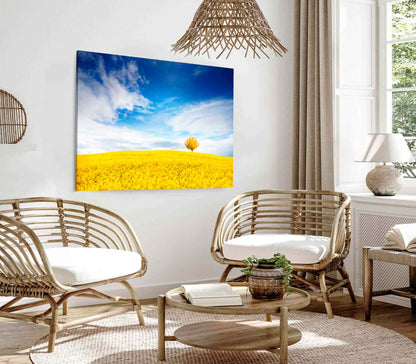 Bella Home Yellow Flower Field & Blue Sky Print Canvas Ready to hang