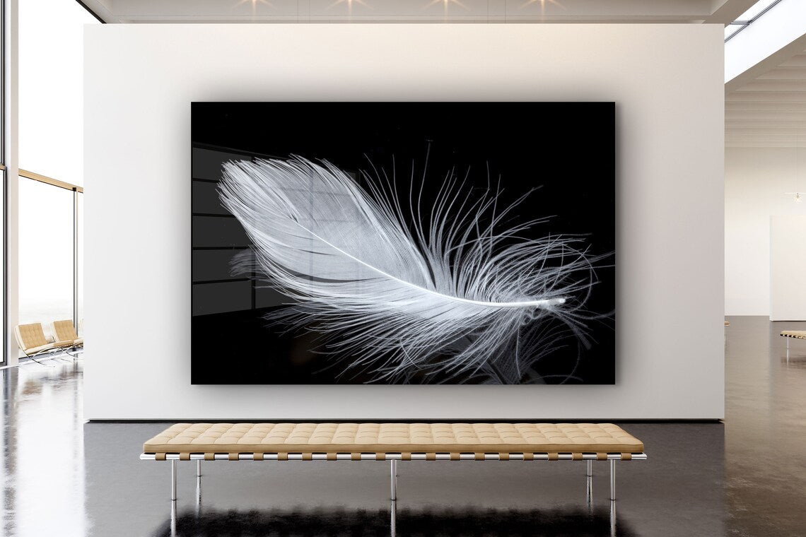 White Feather View Print Tempered Glass Wall Art 100% Made in Australia Ready to Hang