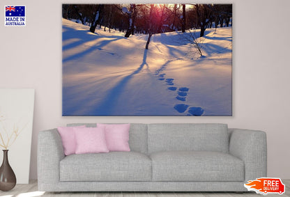 Winter Mountain Forest Sunset Photograph Print 100% Australian Made