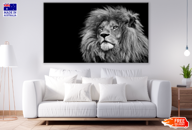 Lion Face B&W Photograph Print 100% Australian Made