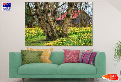 Trees & Yellow Flower Field Photograph Print 100% Australian Made