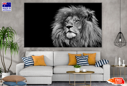 Lion Face B&W Photograph Print 100% Australian Made