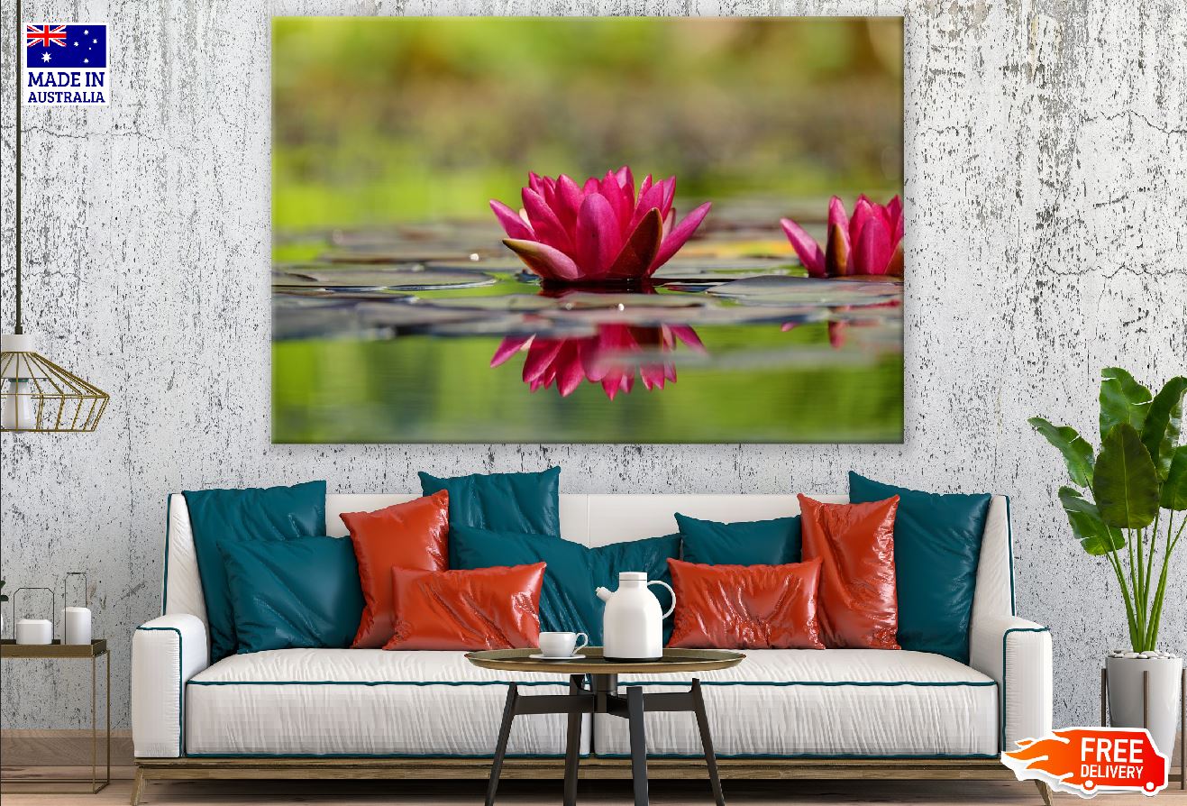 Red Lotus Flower on Water Closeup Photograph Print 100% Australian Made