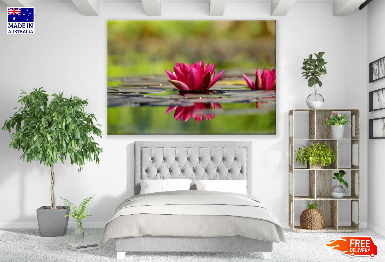 Red Lotus Flower on Water Closeup Photograph Print 100% Australian Made