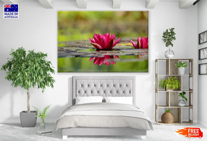 Red Lotus Flower on Water Closeup Photograph Print 100% Australian Made