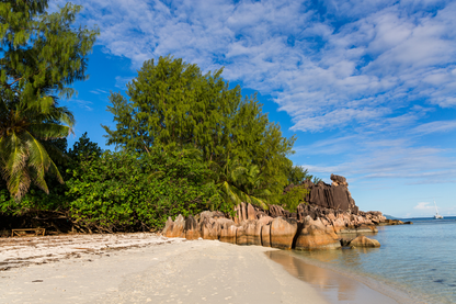 Rocks On Sea & Tree Sky View Photograph Home Decor Premium Quality Poster Print Choose Your Sizes
