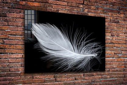 White Feather View Print Tempered Glass Wall Art 100% Made in Australia Ready to Hang