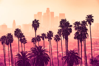 Palm Trees in Los Angeles City View Photograph Print 100% Australian Made