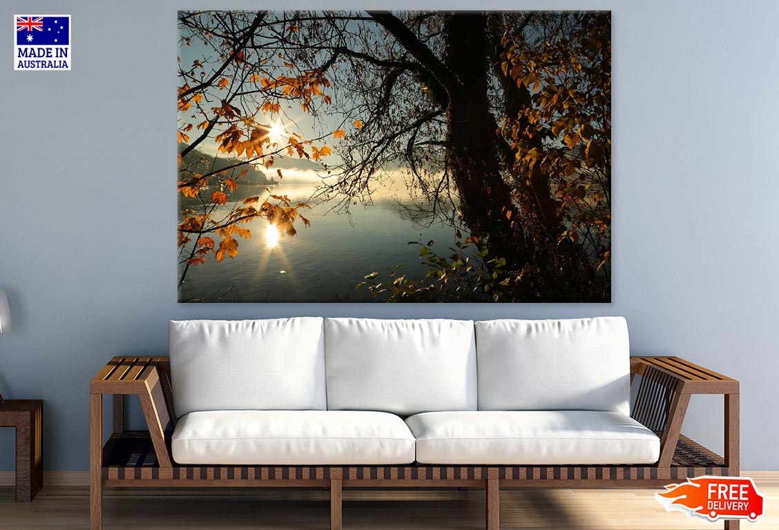 Autumn Trees Near Lake Sunset Photograph Print 100% Australian Made